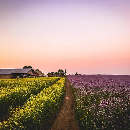 Chwalimie Farm stay Okonek