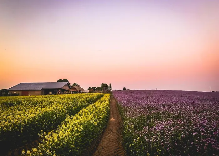 Chwalimie Farm stay Okonek